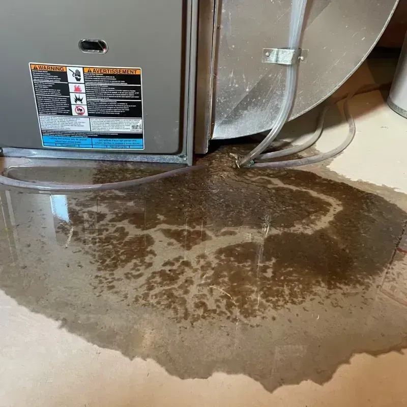 Appliance Leak Cleanup in Onondaga County, NY